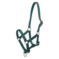 Licol foal HV Polo Nena Vert canard