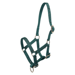 Licol foal HV Polo Nena