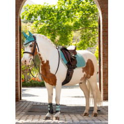 Guêtres fermées Mini LeMieux Aqua Guêtres fermées Mini LeMieux Aqua