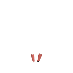 Chaussettes de concours LeMieux 2 paires Cranberry Rose Chaussettes de concours LeMieux 2 paires Cranberry Rose