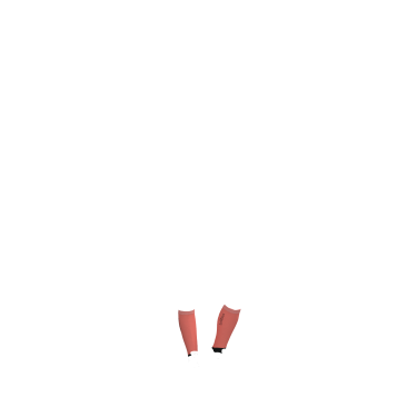 Chaussettes de concours LeMieux 2 paires Chaussettes de concours LeMieux 2 paires