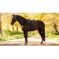 Tapis LeMieux Loire Classic Close Contact Square Damson Violet Tapis LeMieux Loire Classic Close Contact Square Damson Violet