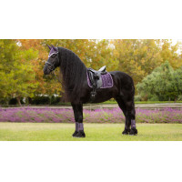 Tapis LeMieux Loire Classic Dressage Square Juniper Violet