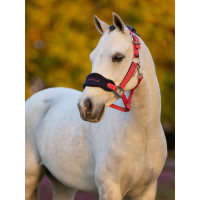 Licol mouton Vogue Mini LeMieux avec longe Chilli Rouge Licol mouton Vogue Mini LeMieux avec longe Chilli Rouge