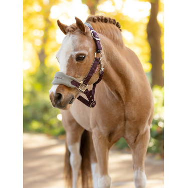 Licol mouton Vogue Mini LeMieux avec longe Licol mouton Vogue Mini LeMieux avec longe
