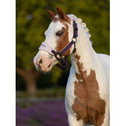 Licol mouton Vogue Mini LeMieux avec longe Juniper Violet