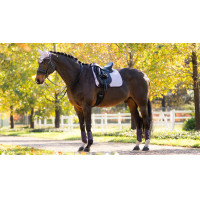 Tapis LeMieux Suede Dressage Square Lilac
