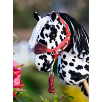 Licol et longe Vogue Hobby Horse LeMieux Lagoon Bleu Licol et longe Vogue Hobby Horse LeMieux Lagoon Bleu