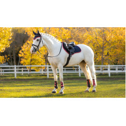 Tapis LeMieux Suede Close contact Square Marine / cranberry Bleu marine Tapis LeMieux Suede Close contact Square Marine / cranberry Bleu marine