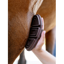 Etrille LeMieux Flexi Cranberry Rose