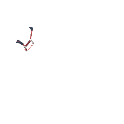 Licol et longe LeMieux Vogue Esme Cranberry Rose