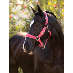 Licol LeMieux Versailles Cranberry Rose