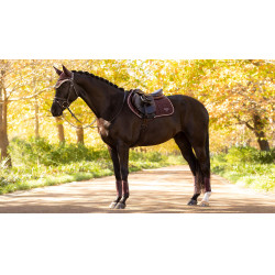 Tapis de selle LeMieux Loire Close Contact Square CSO