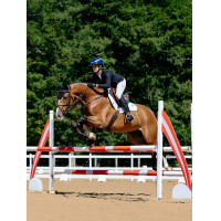 Tapis de selle LeMieux Loire Close Contact Square CSO Benetton Bleu