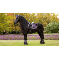Tapis de selle LeMieux Loire Dressage Square