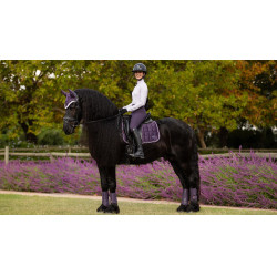 Tapis de selle LeMieux Loire Dressage Square Juniper Violet