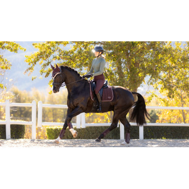 Tapis de selle LeMieux Loire Dressage Square Tapis de selle LeMieux Loire Dressage Square