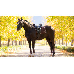 Tapis de selle LeMieux Loire Dressage Square Damson Violet Tapis de selle LeMieux Loire Dressage Square Damson Violet