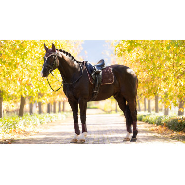 Tapis de selle LeMieux Loire Dressage Square Tapis de selle LeMieux Loire Dressage Square