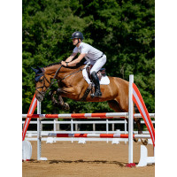 Tapis LeMieux competition close contact square - coton Blanc Tapis LeMieux competition close contact square - coton Blanc