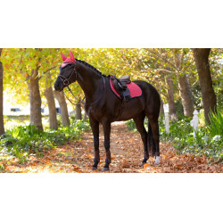 Tapis LeMieux Reflective Suede Close Contact Square Cranberry Rose