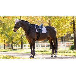 Tapis LeMieux Reflective Suede Dressage Square