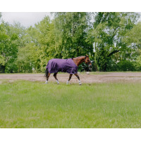 Couverture Equithème Tyrex Aisance 600D Prune Violet Couverture Equithème Tyrex Aisance 600D Prune Violet