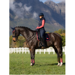 Tapis LeMieux Loire Classic Dressage Square Marine / cranberry Bleu marine Tapis LeMieux Loire Classic Dressage Square Marine / cranberry Bleu marine