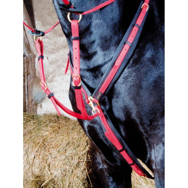 Collier de chasse Biotack T de T Rouge Collier de chasse Biotack T de T Rouge