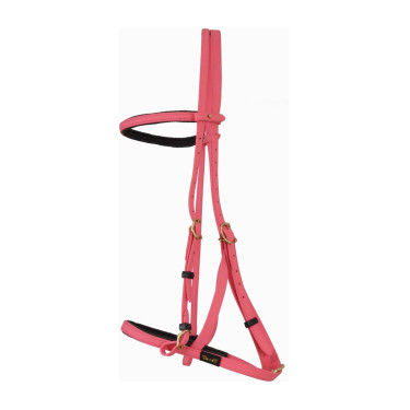 Bridon licol Biotack® T de T Rose