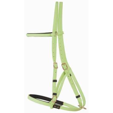 Bridon licol Biotack® T de T Vert