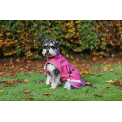 Couverture pour chien Bucas Freedom 50g Framboise Rouge Couverture pour chien Bucas Freedom 50g Framboise Rouge