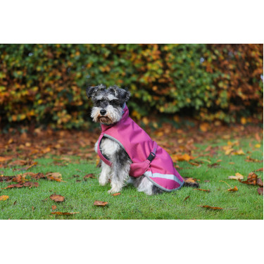 Couverture pour chien Bucas Freedom 50g Framboise Rouge Couverture pour chien Bucas Freedom 50g Framboise Rouge