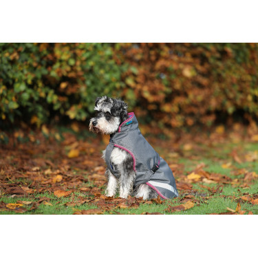 Couverture pour chien Bucas Freedom 50g Gris fumé Couverture pour chien Bucas Freedom 50g Gris fumé