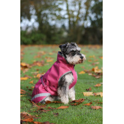 Couverture pour chien Bucas Freedom 300g Framboise Rouge