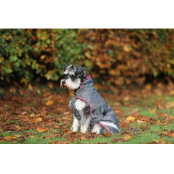 Couverture pour chien Bucas Freedom 300g Gris fumé