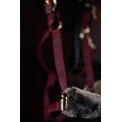 Licol Bucas Show-Line Bordeaux / noir Licol Bucas Show-Line Bordeaux / noir