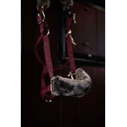 Licol Bucas Show-Line Bordeaux / noir Licol Bucas Show-Line Bordeaux / noir