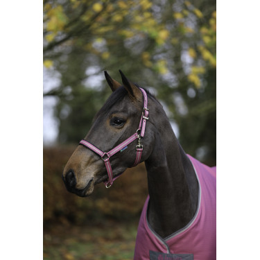 Licol Bucas Dublin Framboise Licol Bucas Dublin Framboise
