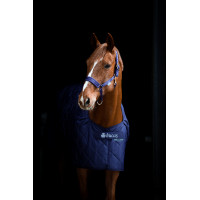 Couverture d'écurie Bucas Cosy Couverture d'écurie Bucas Cosy