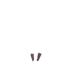 Chaussettes Harlow Mini LeMieux Froostie Poney imprimé Llamas damson