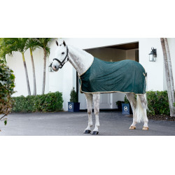 Chemise rafraichissante LeMieux Vert