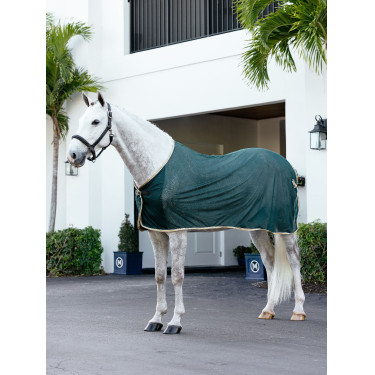 Chemise rafraichissante LeMieux Vert