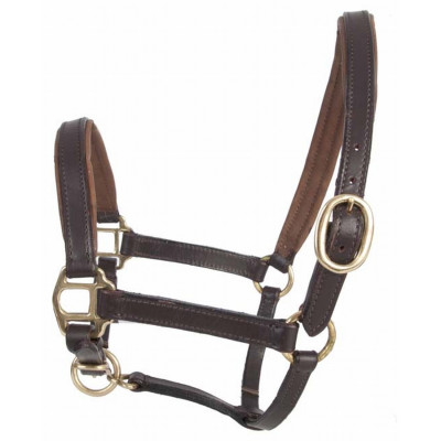 Licol foal en cuir T de T Marron foncé