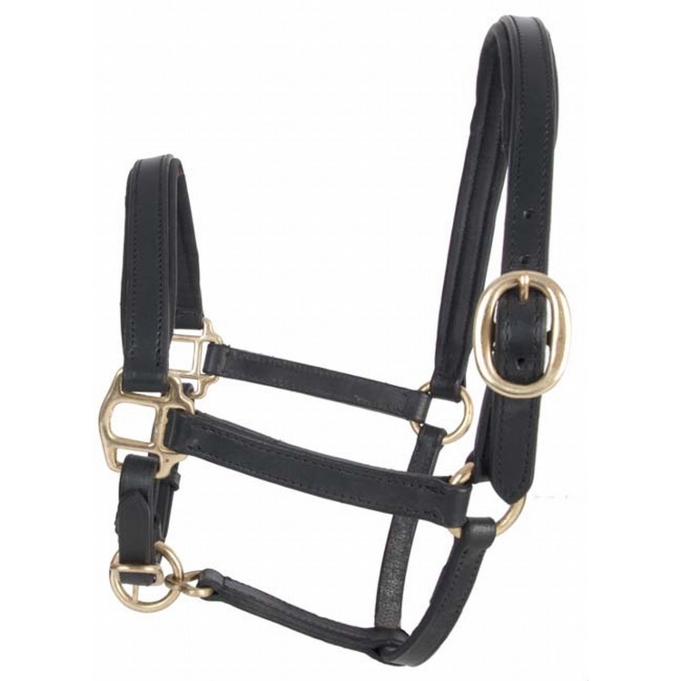 Licol foal en cuir T de T Licol foal en cuir T de T