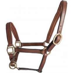 Licol foal en cuir T de T Tabac Marron Licol foal en cuir T de T Tabac Marron