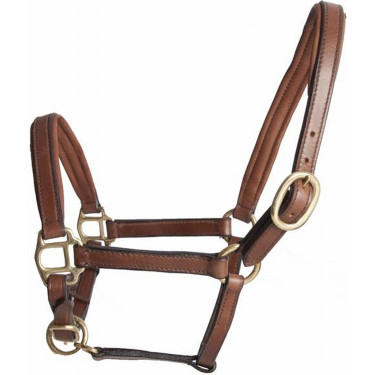 Licol foal en cuir T de T Licol foal en cuir T de T
