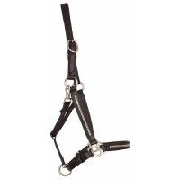 Licol cuir clincher T de T Havane foncé / blanc