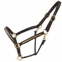 Licol cuir clincher T de T Havane foncé / jaune Marron