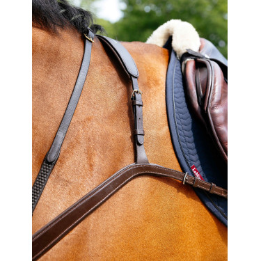 Collier de chasse LeMieux à pont Kudos Havane Marron